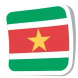 🇸🇷