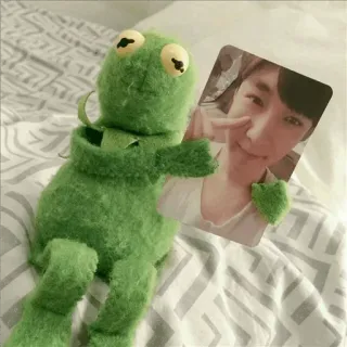 😑 Kermit kermit la rana, burattino, verde, meme whatsapp sticker