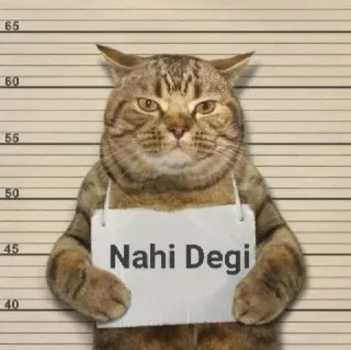 Cats Feelings  @creed_7 (@CalsiBot) whatsapp stickers