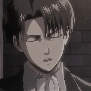 ⛓ Levi Ackerman Attack on Titan levi, anime, attack on titan, ackerman, serious, manga, captain telegram sticker