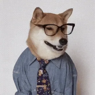 👓 собака, очки, бизнес, галстук, портрет, животное, официальный, сиба ину whatsapp sticker