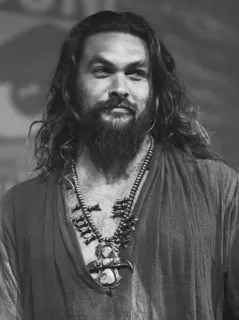 🍻 Jason Momoa актер, знаменитость, мужчина, портрет, длинные волосы, борода, ожерелье telegram sticker