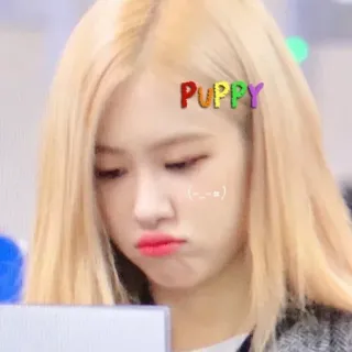 🌸 Puppy cucciolo, carino, rosa, k-pop, faccia, animale, adesivo whatsapp sticker