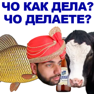 🐠 whatsapp sticker