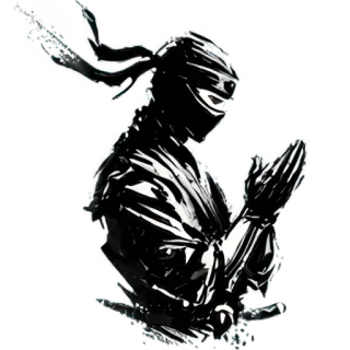 🙏 Ninja, Luchador, Sigilo, Artes marciales, Guerrero, Sigiloso whatsapp sticker