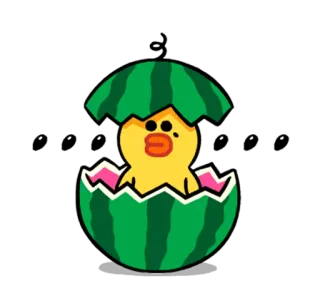 LINE Characters: Cute and Soft Summer whatsapp stickers