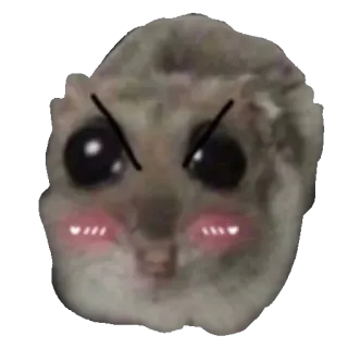 😠 햄스터, 귀여운, 화난, 밈, 동물, 설치류, 이모지 whatsapp sticker