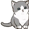 🐱