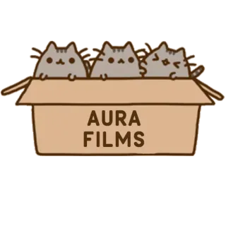 ✌ AURA FILMS кошки, коробка, Aura Films, компания, животное whatsapp sticker