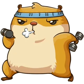 💪 仓鼠, 锻炼, 哑铃, 健身, 动物, 卡通 whatsapp sticker