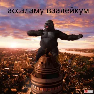 кринж гориллы telegram stickers