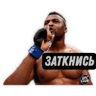 UFC CLUB @ufc_card whatsapp stickers