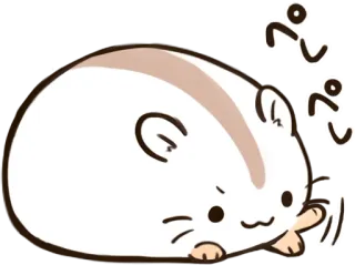 ⏰ ぴっぴ hamster, cute, animal, kawaii, sticker telegram sticker