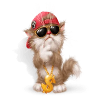 😎 gato, adesivo, animal, óculos de sol, símbolo de dólar, joias, boné whatsapp sticker