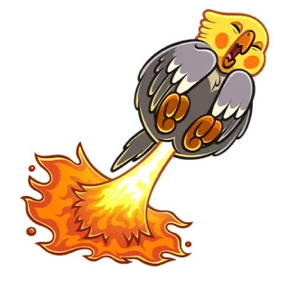 🚀 pássaro, foguete, fogo, calopsita, fofo, engraçado, desenho animado, animal telegram sticker
