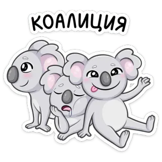🐨 КОАЛИЦИЯ Koala, niedlich, Tiere, Cartoon, Koalition whatsapp sticker