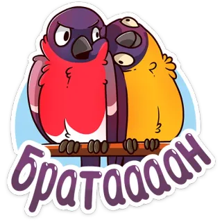 😉 Братаааан burung, teman, imut, kartun, teks telegram sticker