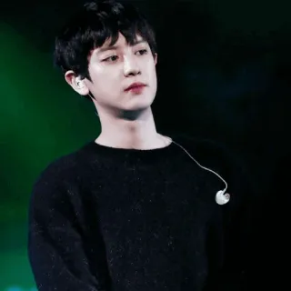 🏹 Chanyeol チャニョル, 歌手, K-POP, EXO, 俳優, ミュージシャン telegram sticker