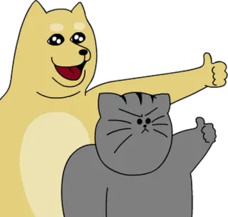 💬 gatto, cane, pollice in su, animali, meme whatsapp sticker