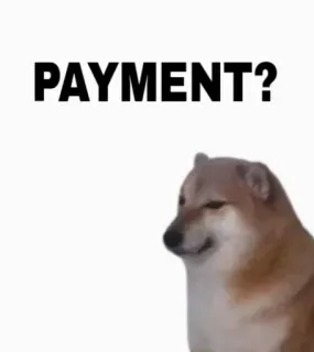 🤔 PAYMENT? doge, 개, 밈, 결제, 웃긴 telegram sticker
