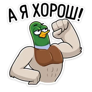💪 А Я ХОРОШ! pato, desenho animado, flexionando, músculo, forte telegram sticker