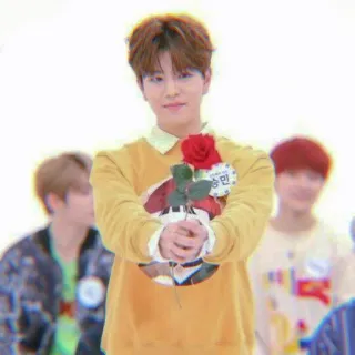 🐱 승민 personne, homme, fleur, rose, sourire whatsapp sticker
