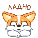😖 ЛАДНО corgi, cane, animale, carino, russo, ok, triste telegram sticker