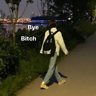 👋 Bye Bitch ofensivo, adiós, jerga, streetwear, casual telegram sticker