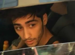🦐 Zayn Malik 歌手, 音乐家, 名人, 肖像, 男人 telegram sticker