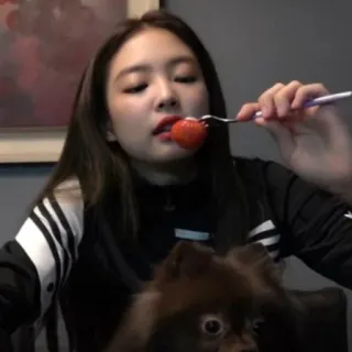 🦅 Jennie mulher, morango, garfo, cachorro, comendo, celebridade, kpop whatsapp sticker