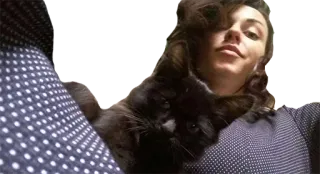 🐱 gato, mulher, selfie, animal de estimação, gato preto telegram sticker
