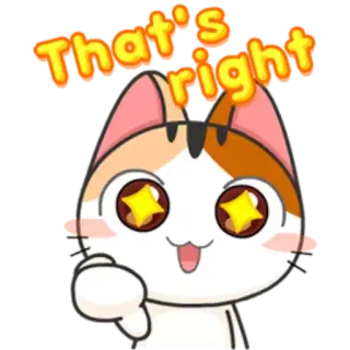 👍 That's right 猫, かわいい, ポジティブ, アファメーション, 幸せ telegram sticker
