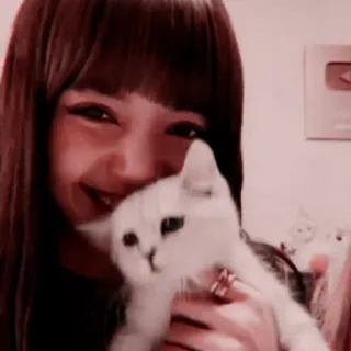 😊 woman, cat, pet, animal, person, smile whatsapp sticker