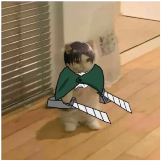 🐯 Levi Ackerman Attack on Titan chat, anime, épée, Attaque des Titans, Levi Ackerman, manga telegram sticker