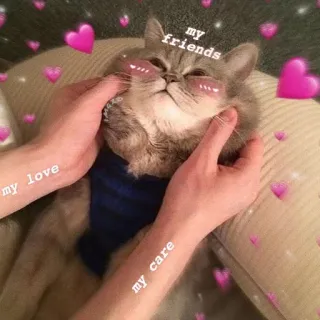 ❤️ my friends, my love, my care chat, amour, amis, soin, mignon, animal telegram sticker