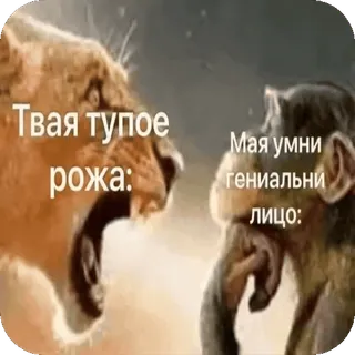 😛 Твая тупое рожа: Мая умни гениальний лицо: telegram sticker