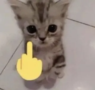 🌟 แมว, ลูกแมว, นิ้วกลาง, หยาบคาย whatsapp sticker