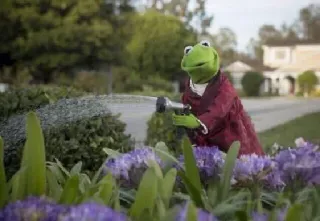 🌳 Kermit Кермит Лягушонок, Маппеты, лягушка, полив, сад, цветы telegram sticker