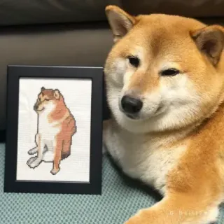 ☁ anjing, Cheems, Shiba Inu, meme, hewan peliharaan, binatang telegram sticker