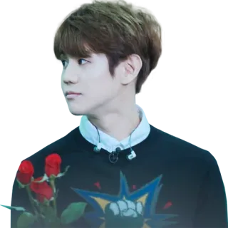 🌹 telegram sticker