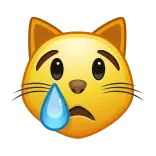 😿