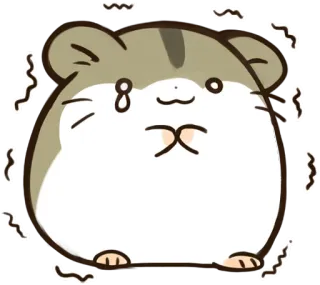 😰 hamster, cute, animal, sticker, grey, white telegram sticker