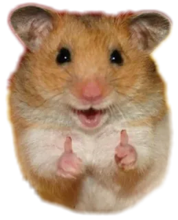 👍 criceto, pollice in su, animale, roditore, carino whatsapp sticker
