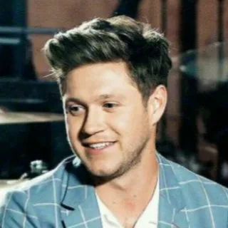 🍕 Niall Horan знаменитость, певец, мужчина, человек, портрет, музыкант telegram sticker