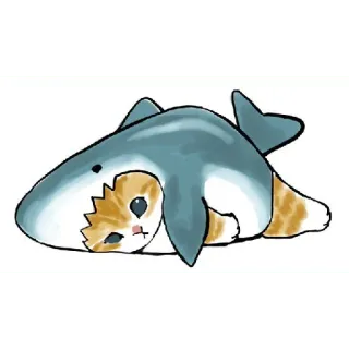 😀 gatto, squalo, costume, animale, carino, divertente, animale domestico telegram sticker