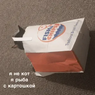 котеки @avekovalenko telegram stickers