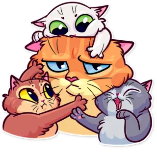 😑 cat, kitten, animals, cute, funny telegram sticker