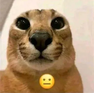 Больше стиков тут: @stikery4 whatsapp stickers