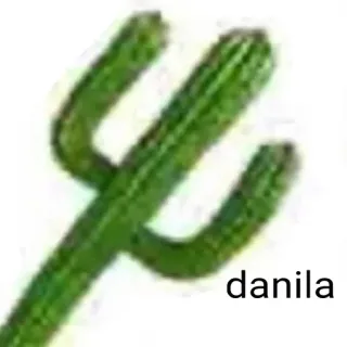 🌵 danila cactus, pianta, deserto, verde, natura, spinosa telegram sticker