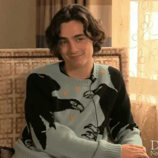 😏 Timothée Chalamet ator, retrato, celebridade, suéter, entrevista telegram sticker